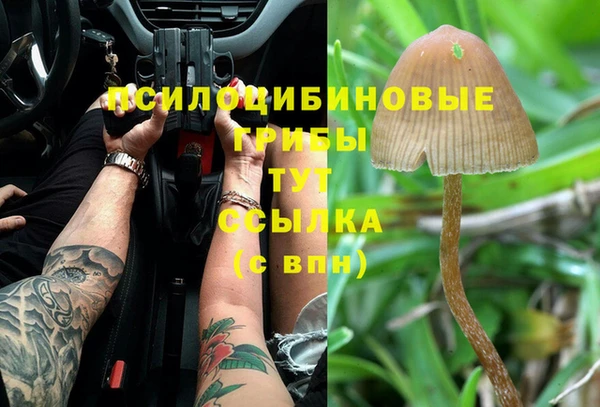ГАЛЛЮЦИНОГЕННЫЕ ГРИБЫ Армянск