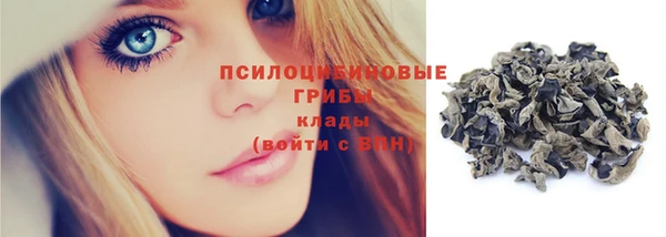 стаф Аркадак