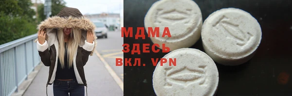 стаф Аркадак