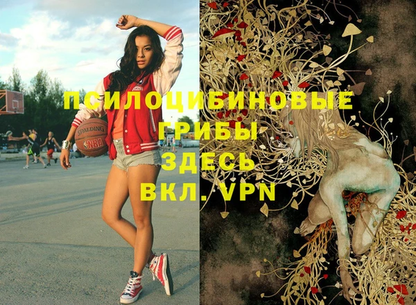 ГАЛЛЮЦИНОГЕННЫЕ ГРИБЫ Армянск
