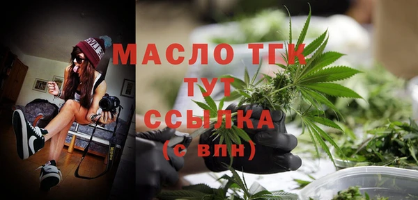 стаф Аркадак