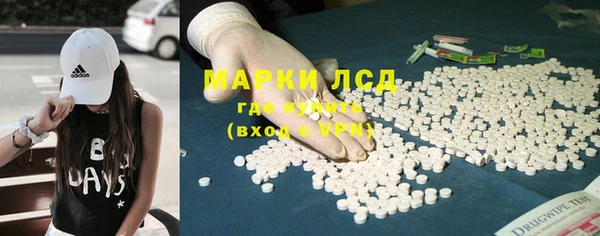 стаф Аркадак