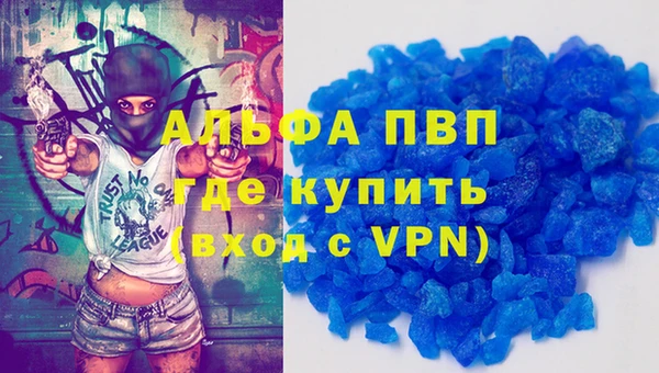 стаф Аркадак